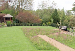A suburban garden design in Salisbury, Wiltshire